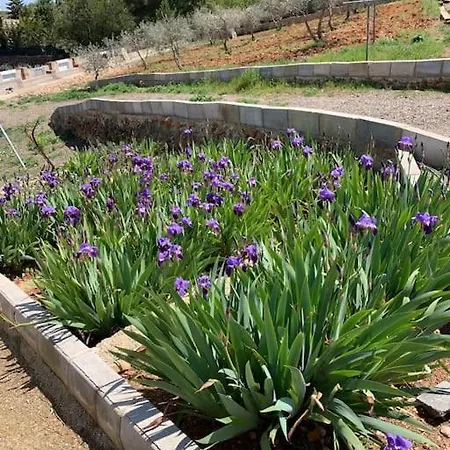 El-cortijo Holiday home *