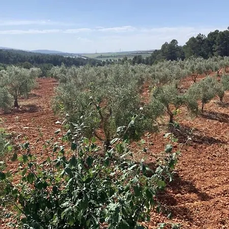 Holiday home El-cortijo